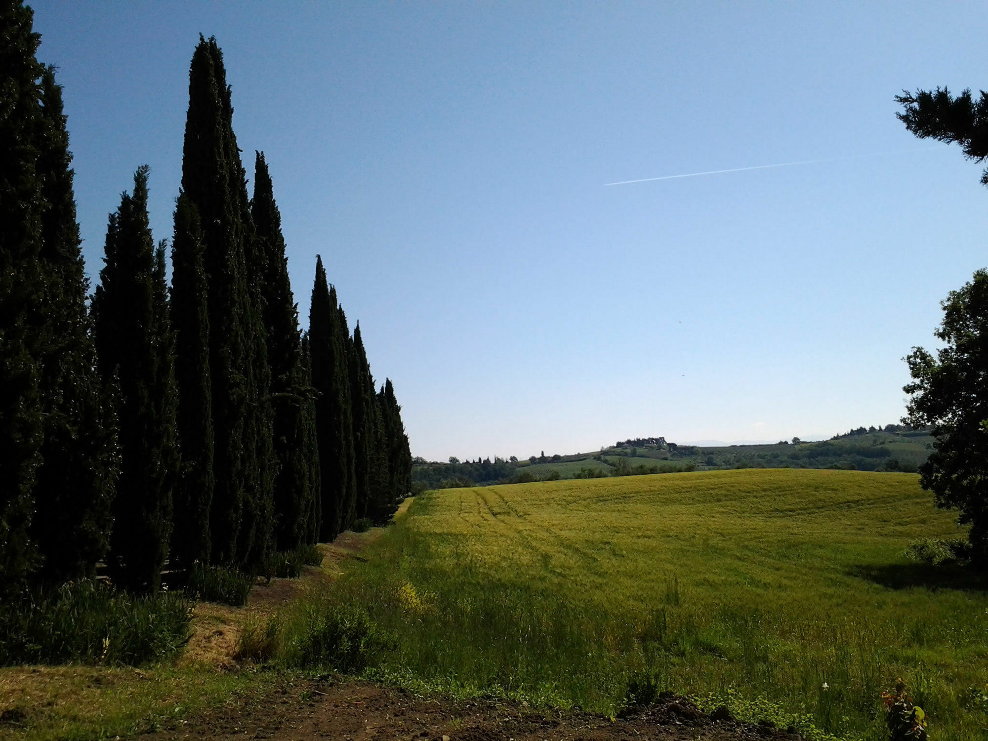 Villa Albertina Montespertoli Exteriör bild