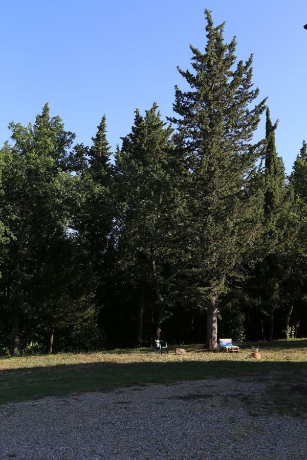 Villa Albertina Montespertoli Exteriör bild